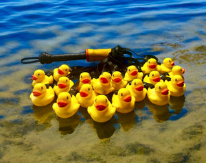 Rubber Ducky Flogger